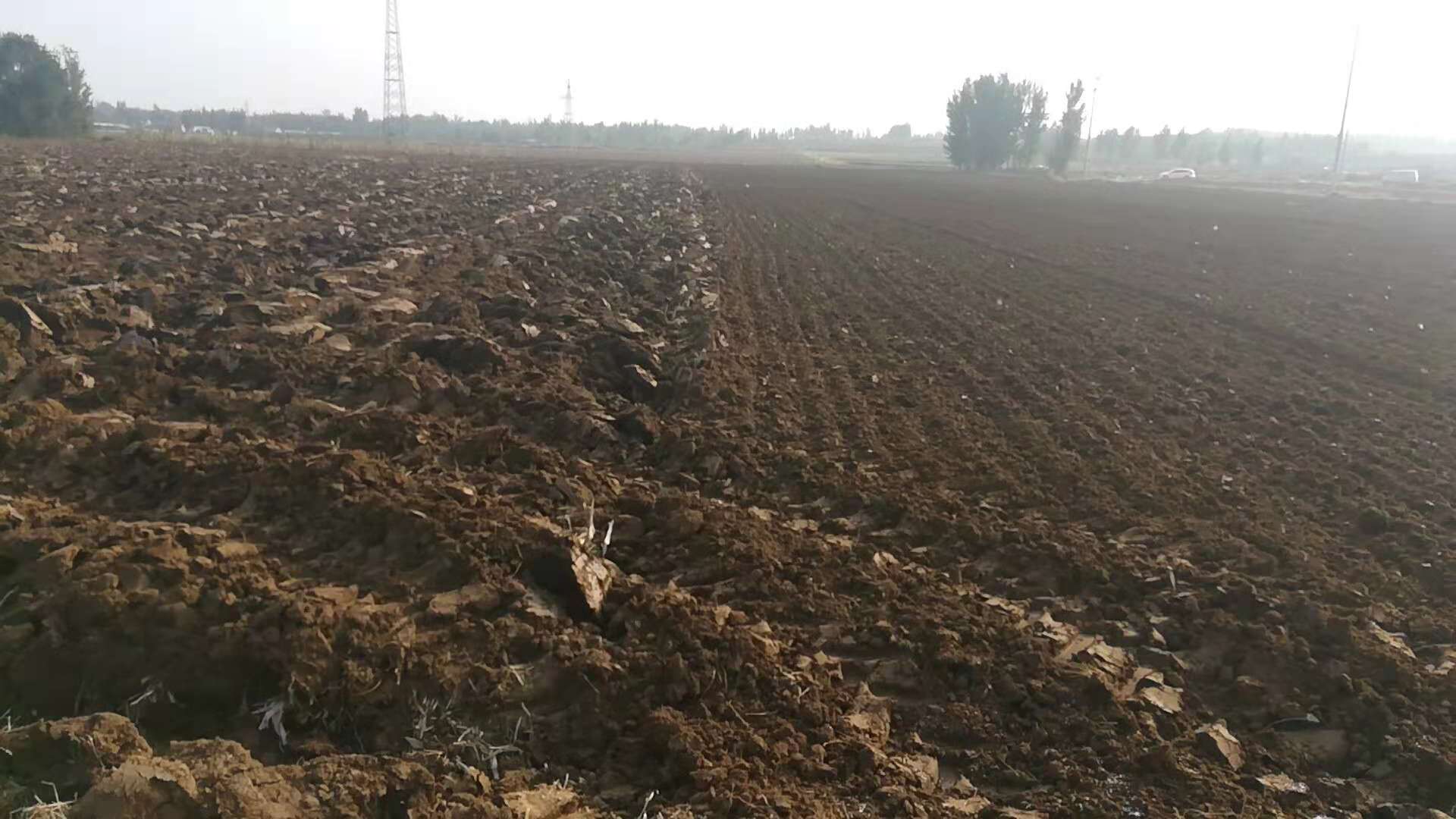 播種環境-昌樂皂戶村-2.jpg